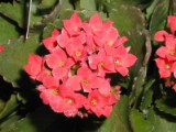 PC080035