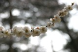 IMG_0047