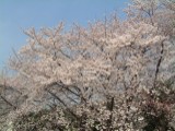 DSCF0004