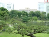 DSCF0008
