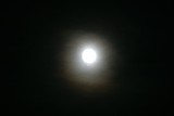 IMG_0031_RJ